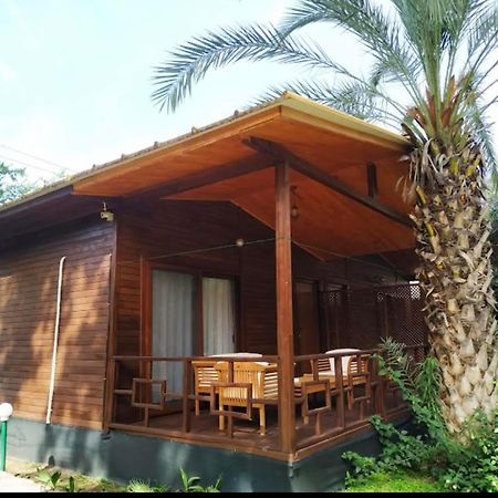 Olympos Yavuz Hotel Cirali Bagian luar foto