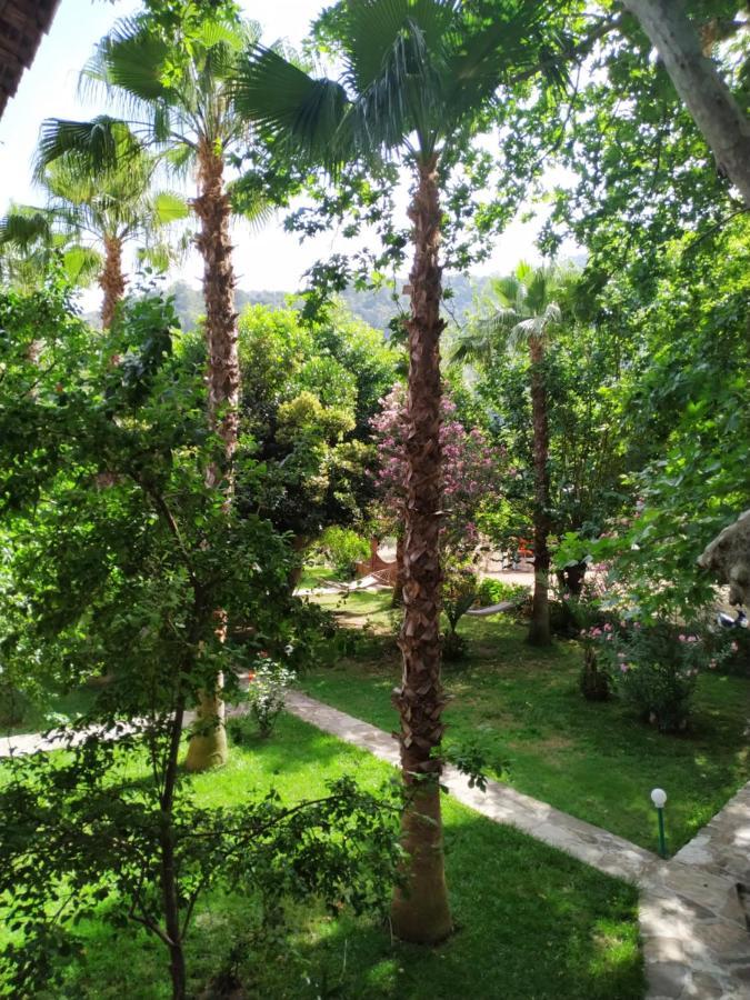 Olympos Yavuz Hotel Cirali Bagian luar foto