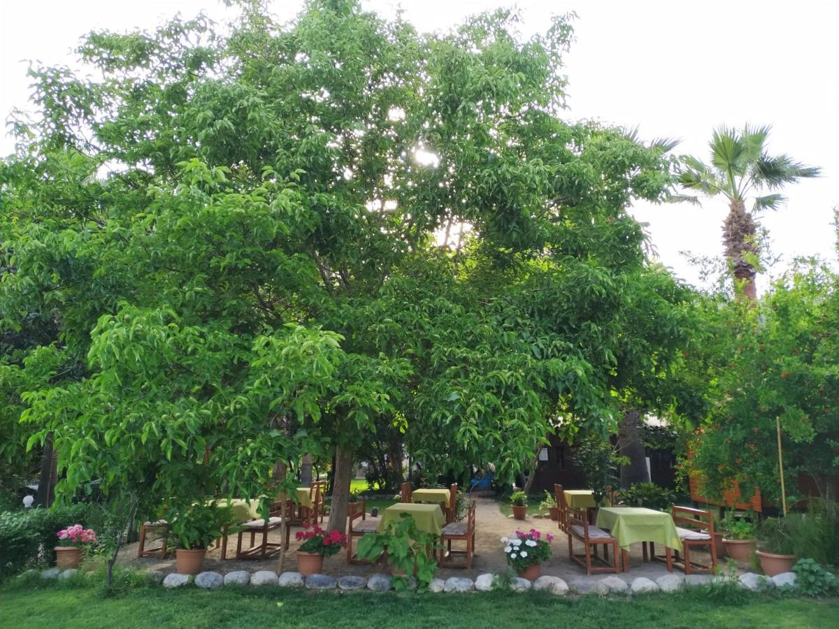 Olympos Yavuz Hotel Cirali Bagian luar foto