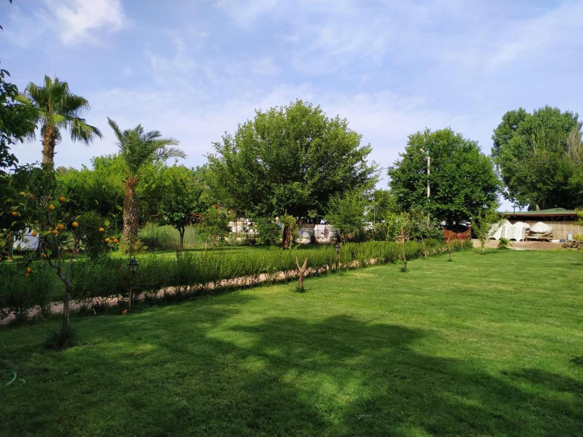 Olympos Yavuz Hotel Cirali Bagian luar foto