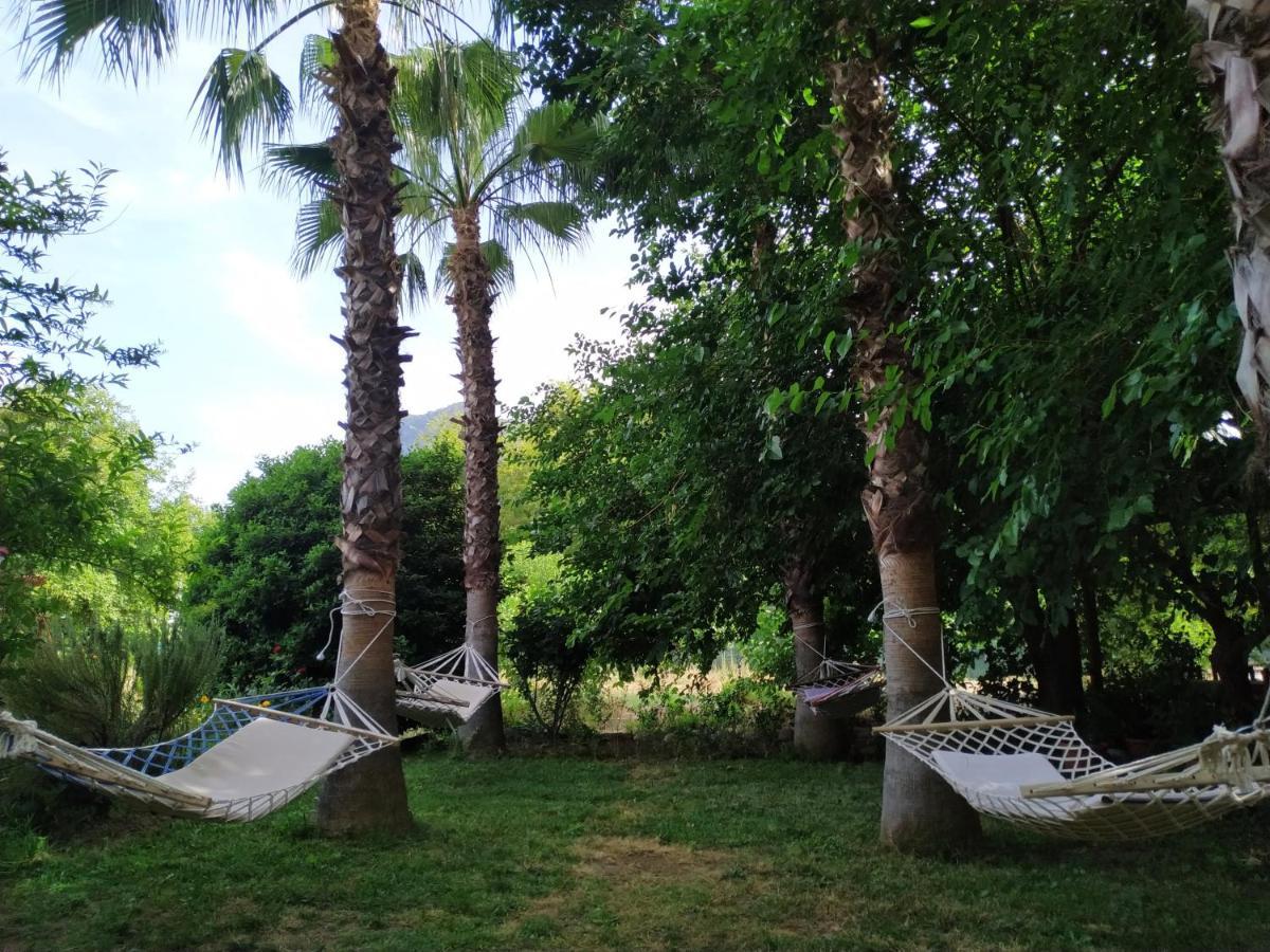 Olympos Yavuz Hotel Cirali Bagian luar foto