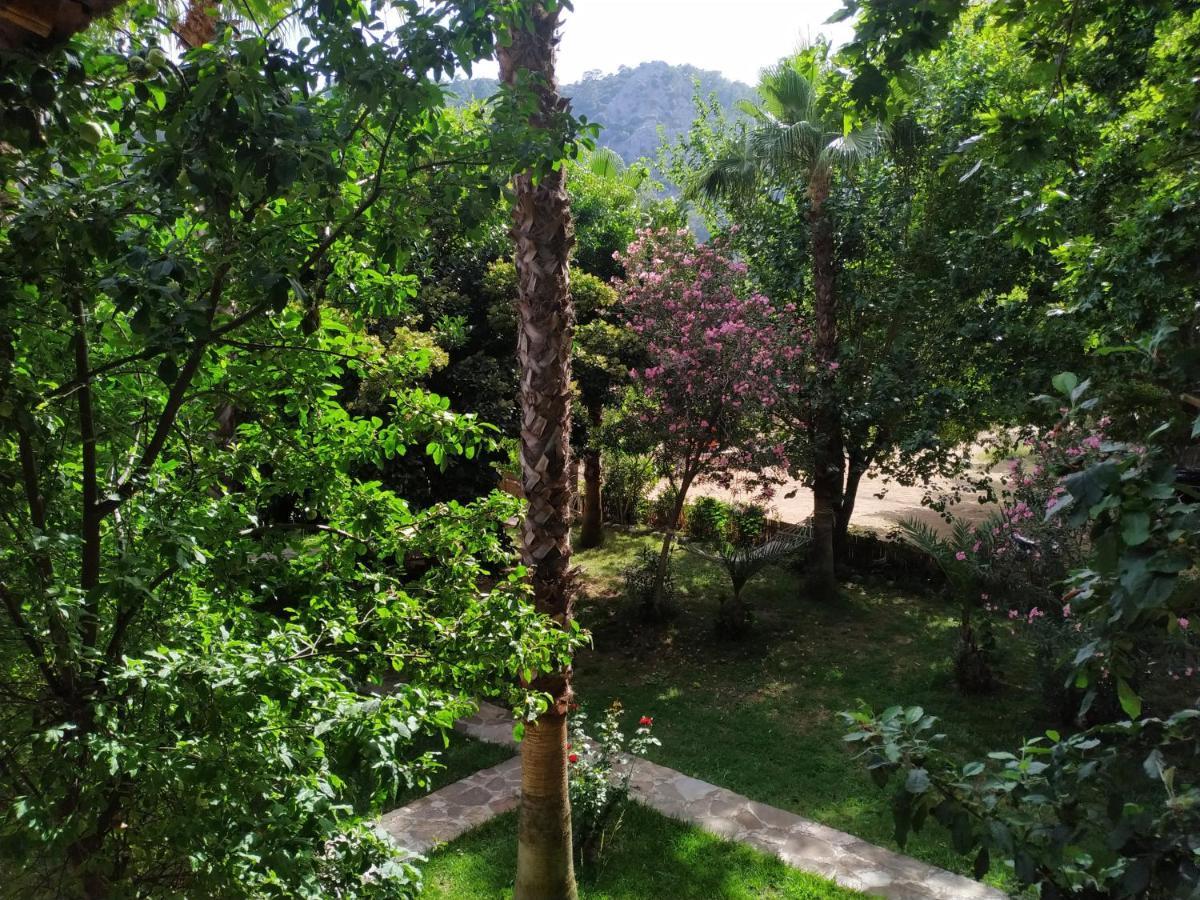 Olympos Yavuz Hotel Cirali Bagian luar foto