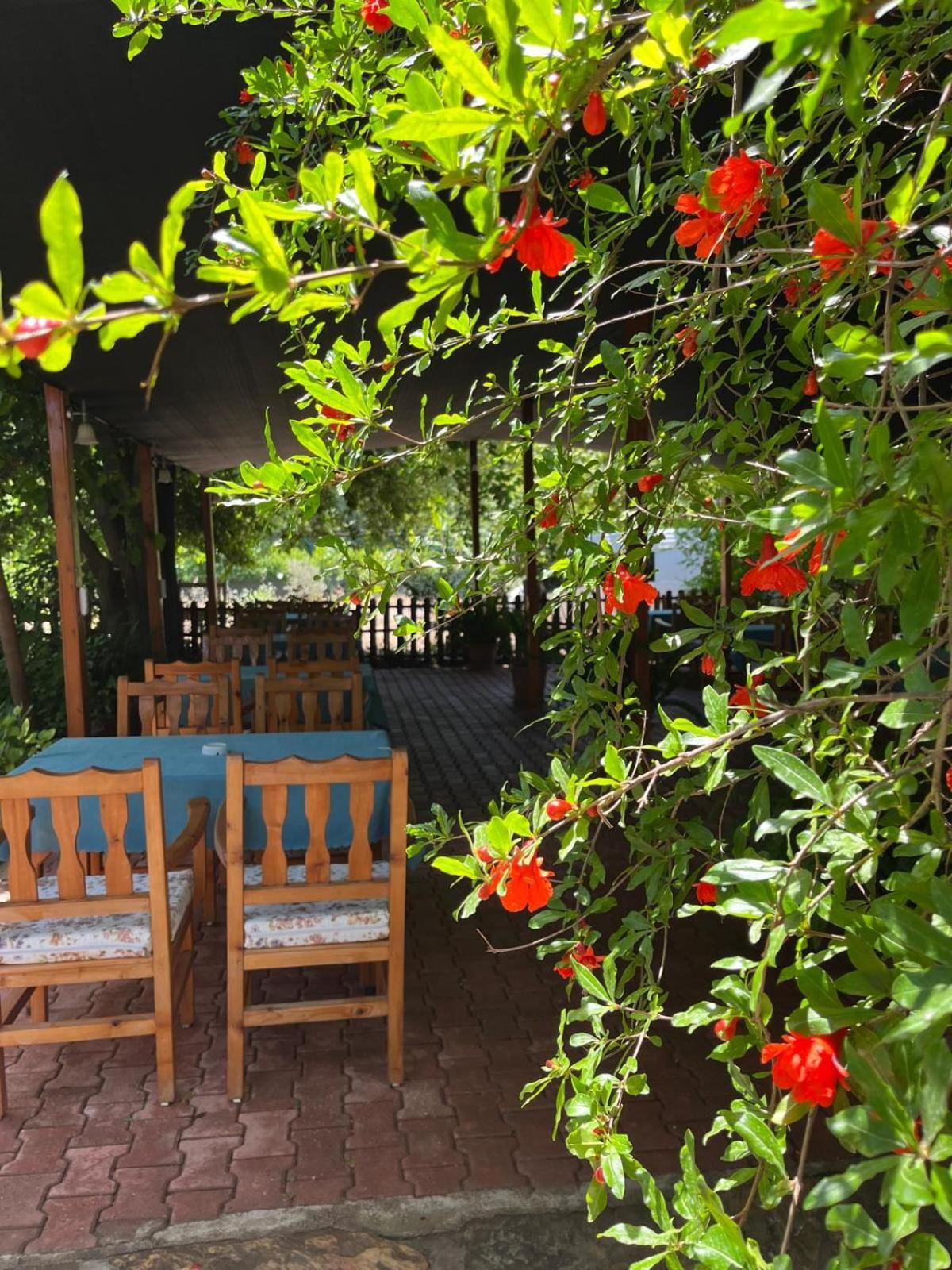 Olympos Yavuz Hotel Cirali Bagian luar foto
