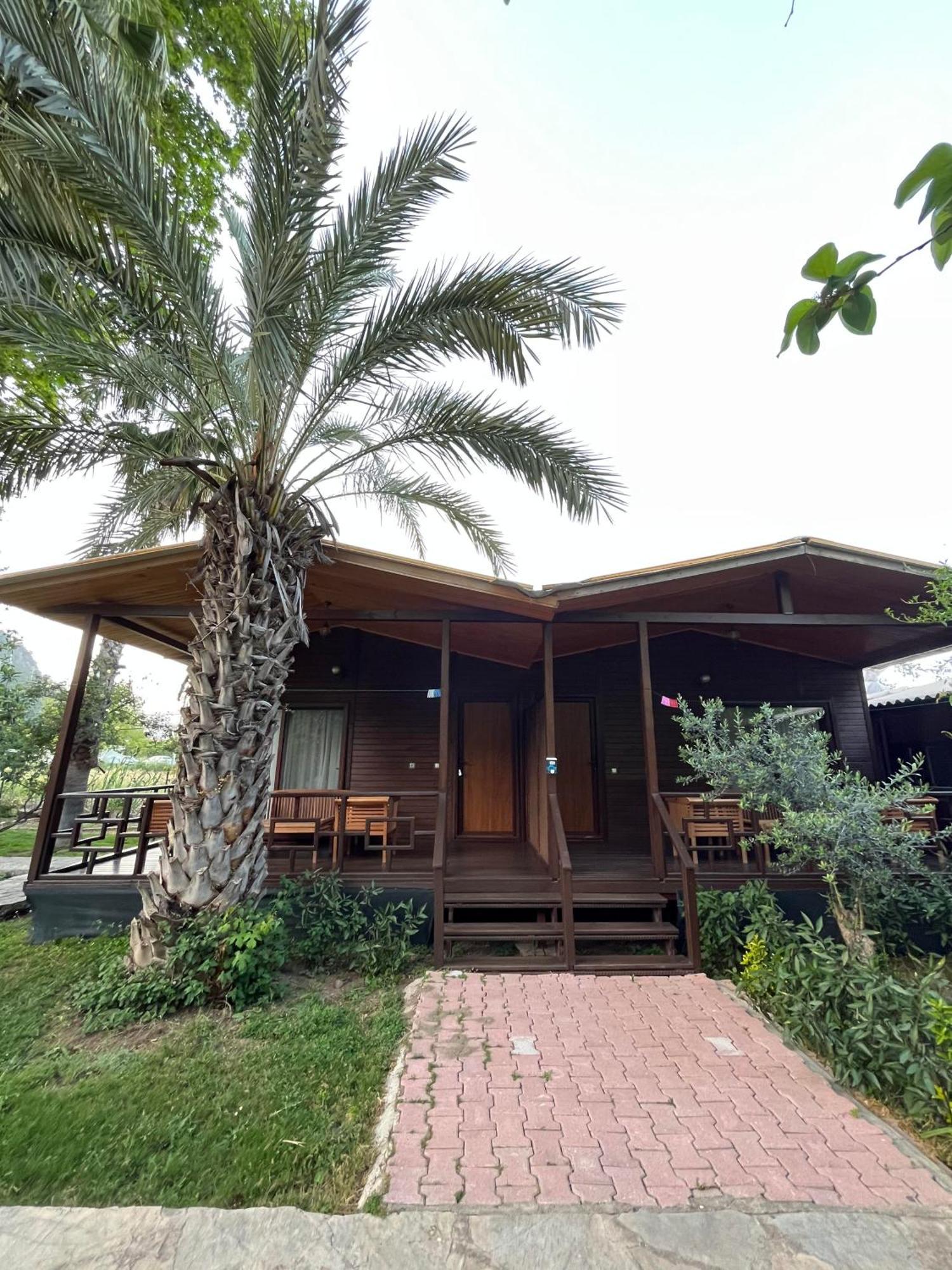 Olympos Yavuz Hotel Cirali Bagian luar foto